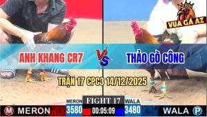 Trận 17 CPC3 14/12/2025 - Gà Vàng Anh Thảo Gãy Cánh Có Chân Xạo Lờ