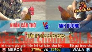 Trận 17 CPC5 3/12/2025 - Điều Lá Anh Nhàn Búa Điều Xanh Chạy Mất Dép