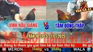 Trận 18 CPC5 2/12/2025 - Xanh Chân Xanh Anh Vinh Đâm Cựa Bao Dính