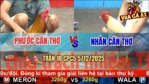 Trận 18 CPC5 5/12/2025 - Gà Vàng Anh Phước Cần Thơ Đâm Như Chỉa