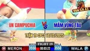 Trận 19 CPC3 14/12/2025 - Anh Mắm Gặp Anh Un CPC 3 Con Gãy Cả Ba