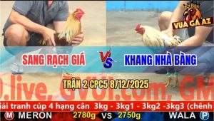 Trận 2 CPC5 8/12/2025 - Gà Chuối Anh Sang Đá Bướm Anh Khang Ói Đen Đầu