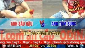 Trận 20 CPC5 11/12/2025 - Bướm Anh Sáu Đá Bướm Anh Tám Ra Si Rô Bay Bồ