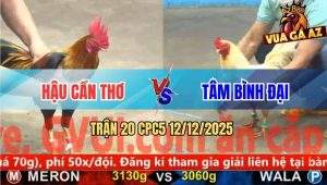 Trận 20 CPC5 12/12/2025 - Điều Cọp Anh Hậu Đâm Úa Ói Máu Chạy Chết