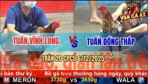 Trận 20 CPC5 6/12/2025 - Xanh Đuôi Lao Anh Tuấn Có Chân Phản Ăn 1
