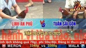 Trận 20 CPC5 8/12/2025 - Đỏ Kẹp Lông Gỡ Không Ra Bị Xanh Đá Cho Xì Cơm