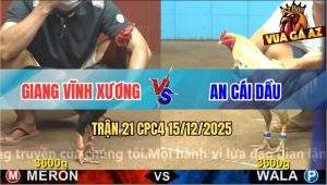 Trận 21 CPC4 15/12/2025 - Bướm Anh An Cái Dầu Đá Đâm Như Chỉa