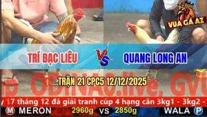 Trận 21 CPC5 12/12/2025 - Gà Úa Anh Quang Đang Đá Tôn Chạy Bay Bồ