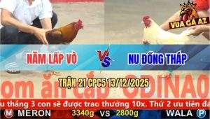 Trận 21 CPC5 13/12/2025 - Úa Anh Nu Nhỏ Mà Có Võ, Gom Phiếu Thành Công