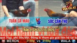 Trận 21 CPC5 2/12/2025 - Điều Tích Vôi Anh Tuấn Đá 3 Chân Xanh Bay Bồ