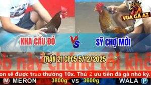 Trận 21 CPC5 5/12/2025 - Gà Cú Anh Sỹ Đâm Xám Điều Không Sót Chân Nào