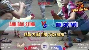 Trận 21 Hà Tiên 7/12/2025 - Úa Hiệu Bảo Sting Hạ Điều Trong 1 Nốt Nhạc