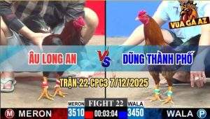 Trận 22 CPC3 7/12/2025 - Gà Điều Anh Âu Long An Đâm Cựa Như Phát Xít