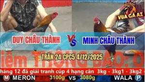 Trận 24 CPC5 4/12/2025 - Xanh Nhảy Hụt Đỏ Để Cây Lưng Sụm Tỳ Rụng Nụ