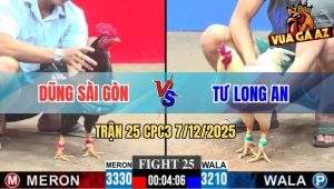 Trận 25 CPC3 7/12/2025 - Anh Tèo Bảo Lộc Thả Gà Chưa Kịp Đá Đã Bưng Ra