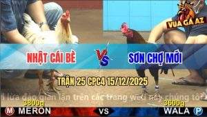 Trận 25 CPC4 15/12/2025 - Gà Điều Anh Sơn Chưa Thả Dí Ăn 4 Và Cái Kết
