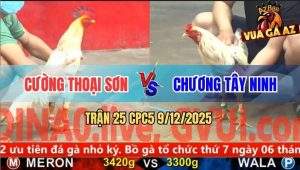 Trận 25 CPC5 9/12/2025 - Bướm Lá Đá Bướm Dâu Không Chết Cũng Lìa Giò