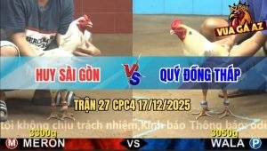 Trận 27 CPC4 17/12/2025 - Bướm Anh Quý Đâm Bướm Anh Huy Bay Phấp Phới