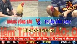 Trận 28 CPC5 8/12/2025 - Gà Chuối Anh Hoàng Đá Xám Cúp Độ Bể Hộp Số