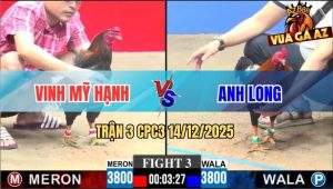 Trận 3 CPC3 14/12/2025 - Điều Cọp Anh Long Để Cây Lưng Đỏ Ra Máu Lỏng