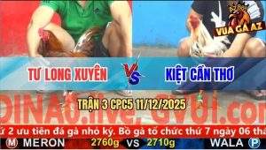 Trận 3 CPC5 11/12/2025 - Khét Đá Bo Khủng Đâm Bướm Anh Kiệt Lủng Mình