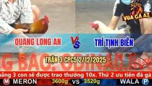 Trận 3 CPC5 3/12/2025 - Que Cọp Anh Quang Bẻ Giò Úa Chân Xanh Anh Trí