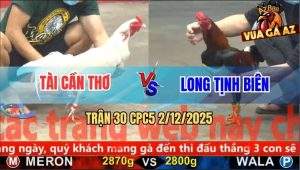 Trận 30 CPC5 2/12/2025 - Úa Chân Trắn Đá Gà Điều Lên Bờ Xuống Ruộng