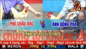 Trận 30 CPC5 5/12/2025 - Bướm Anh Đông Pha Bao Bồ Bị Úa Đá Ra Máu Lỏng