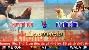 Trận 31 CPC5 8/12/2025 - Gà Bướm Anh Hà Đá Điều Anh Huy Ói Đen Đầu