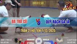 Trận 31 Hà Tiên 7/12/2025 - Gà Chuối Anh Ba Trà Cú Đá Như Sấm Đánh