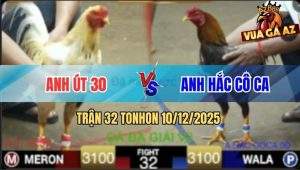 Trận 32 TonHon 10/12/2025 - Anh Út 30 Gặp Anh Hắc Cô Ca