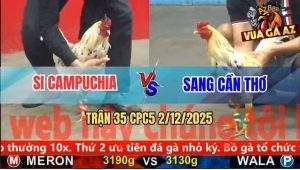 Trận 35 CPC5 2/12/2025 - Bướm Anh Si Đâm Bướm Anh Sang Ói Đen Đầu