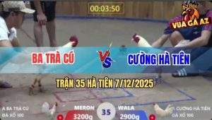 Trận 35 Hà Tiên 7/12/2025 - Úa Chân Trắng Đá Gà Úa Anh Ba Chết Tươi