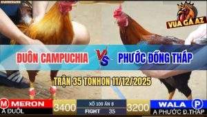 Trận 35 TonHon 11/12/2025 - Điều Anh Phước Kém 2 Chấm Đá Khét Bại Liệt