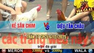 Trận 37 CPC5 6/12/2025 - Kẻ Săn Chim Phú Quốc Gặp Anh Diệu Tân Châu