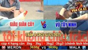 Trận 4 CPC5 6/12/2025 - Điều Xanh Nuôi Tang, Bướm Phản Biện Lại Đi Xa