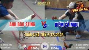 Trận 4 Hà Tiên 7/12/2025 - Bướm Hiệu Bảo Sting Đá Xanh Té Gãy Cổ