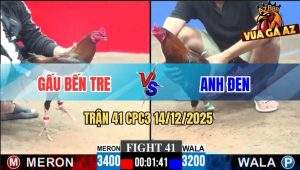 Trận 41 CPC3 14/12/2025 - Anh Đen Hạ Anh Gấu Dư 2 Chấm Trong Nốt Nhạc
