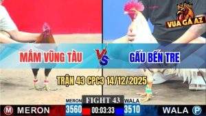 Trận 43 CPC3 14/12/2025 - Điều Anh Mắm Đá Tới Đâu Bướm Ói Tiền Tới Đó