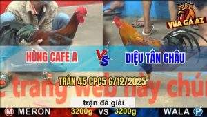 Trận 45 CPC5 6/12/2025 - Anh Hùng Cafe A Gặp Anh Diệu Tân Châu