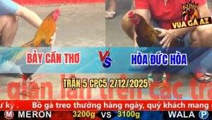 Trận 5 CPC5 2/12/2025 - Điều Cọp Anh Hòa Siết 1 Tăng Que Chạy Bay Bồ