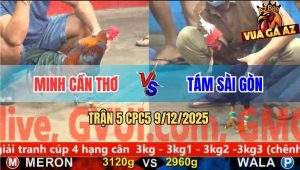 Trận 5 CPC5 9/12/2025 - Điều Anh Minh Đá Ngay Bang Tai Xanh Nằm Đống