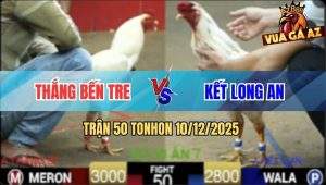 Trận 50 TonHon 10/12/2025 - Gà Úa Anh Thắng Phút 90 Đá Bo Như Cây Đập