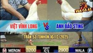 Trận 53 TonHon 10/12/2025 - Bướm Chồng Độ Đá Úa Hiệu Bảo Sting Phá Đôi