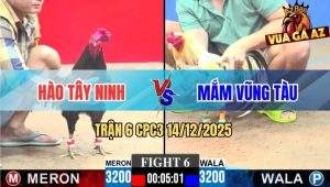 Trận 6 CPC3 14/12/2025 - Bướm Trích Chặn 1 Chân Ô Mồng Lá Té Hết Cứu