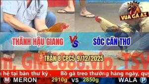 Trận 8 CPC5 9/12/2025 - Chuối Đen Anh Sóc Đá Vàng Tàu Long Đầu Bỏ Chạy