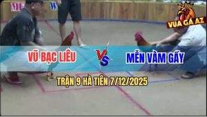 Trận 9 Hà Tiên 7/12/2025 - Điều Mồng Lá Anh Mễn Bú Mồng Dâu Bay Bồ