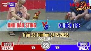 Trận 23 TonHon 3/12/2025 - Khét Bông Đâm Khét Nhập Bảo Sting Ra Si Rô